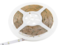 Color RGB Warm White Indoor Double Density LED Strip